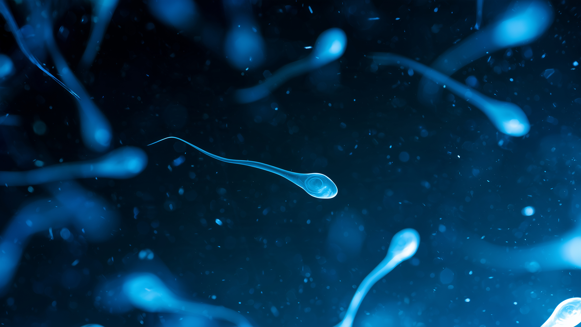 Kruger Morfolojisi Nedir? Sperm Şekli Gebelik Şansını Etkiler mi?